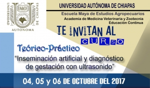 Curso &quot;Inseminación artificial y diagnóstico de gestación con ultrasonido&quot;