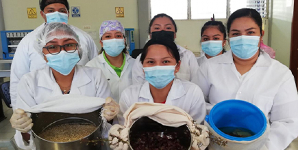 PRÁCTICA: “CONOCIMIENTO Y MANEJO DE HONGOS FERMENTADORES”