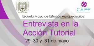 Curso &quot;Entrevista en la Acción Tutorial&quot;