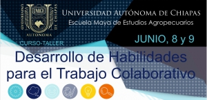 Curso-Taller &quot;Desarrollo de Habilidades para el Trabajo Colaborativo&quot;