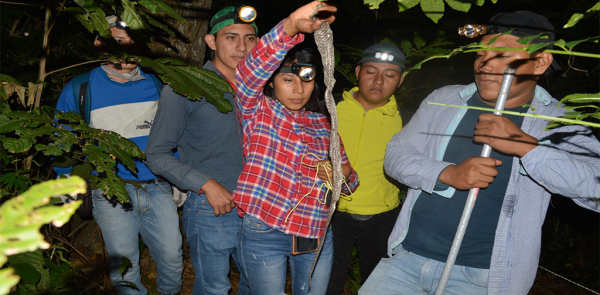 MONITOREO EN BUSCA DE FAUNA NOCTURNA EN LAS INMEDIACIONES DE LA FACULTAD MAYA DE ESTUDIOS AGROPECUARIOS