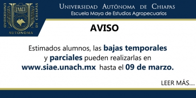 BAJAS TEMPORALES Y PARCIALES