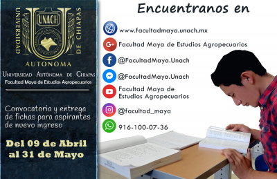 Proximamente CONVOCATORIA 2019