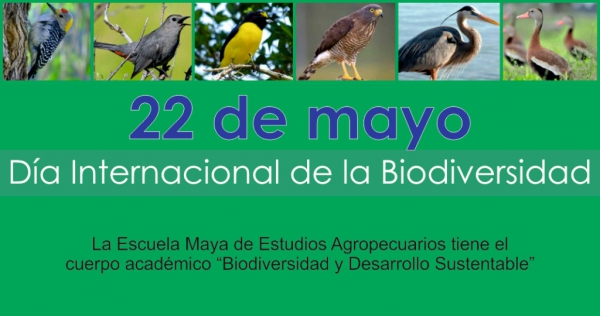Día Internacional de la Biodiversidad