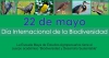 Día Internacional de la Biodiversidad