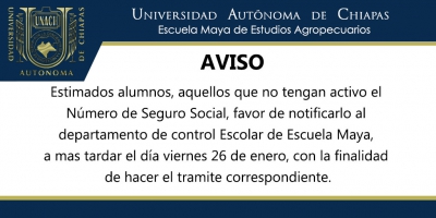 Numero de Seguro Social