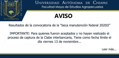 RESULTADOS DE LA CONVOCATORIA &quot;BECA MANUTENCIÓN FEDERAL 2020II&quot;